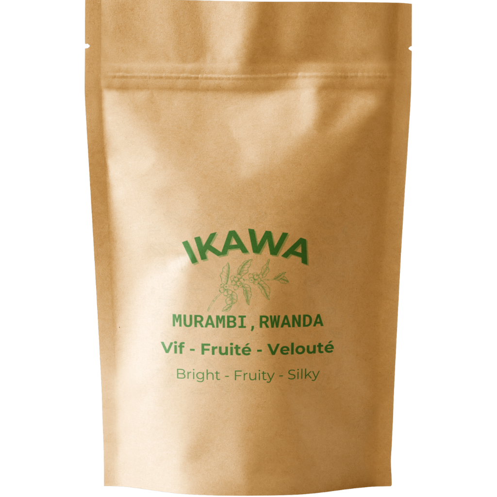 The Coffee Explorer's Set